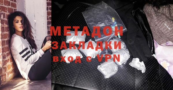 шишки Верея