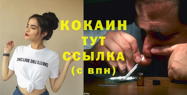 шишки Верея