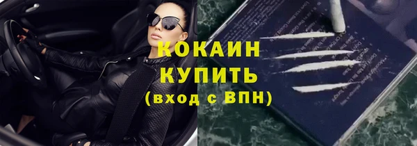 шишки Верея