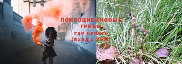 шишки Верея