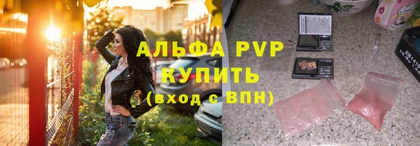 шишки Верея