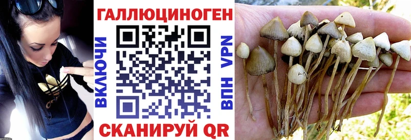 Псилоцибиновые грибы Magic Shrooms  Вязники 